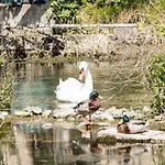 De Charente Camping Bourg-Charente