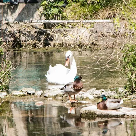 De Charente Campsite Bourg-Charente