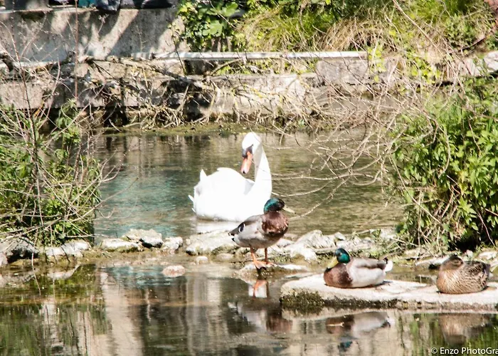De Charente Κάμπινγκ Bourg-Charente